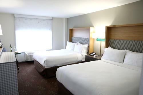 Hotel Holiday Inn O'hare Area