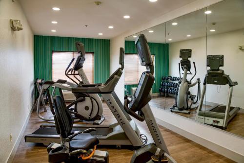 Hotel Holiday Inn Express & Suites Jacksonville