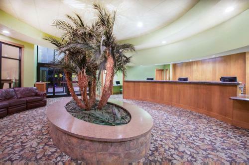 Hotel Ramada By Wyndham Des Moines Tropics Resort & Conference Ctr