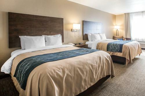 Hotel Comfort Inn And Suites Waterloo