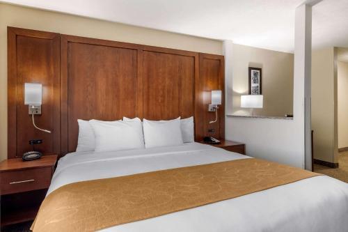 Hotel Comfort Suites Speedway - Kansas City