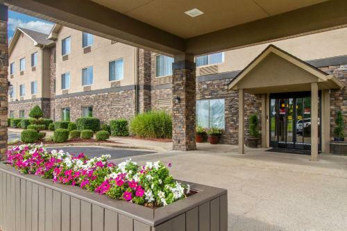 Hotel Comfort Suites Danville