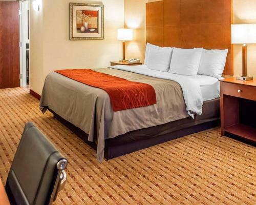 Hotel Comfort Inn And Suites Franklin