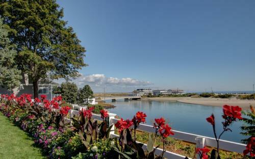 Bed & Breakfast Terrace By The Sea