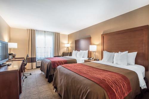 Hotel Comfort Inn South Portland