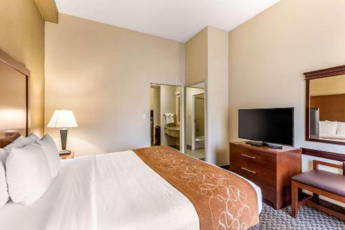 Hotel Comfort Suites Columbia Gateway