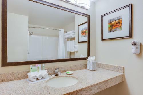 Hotel Holiday Inn Express I-95 Capitol Beltway - Largo