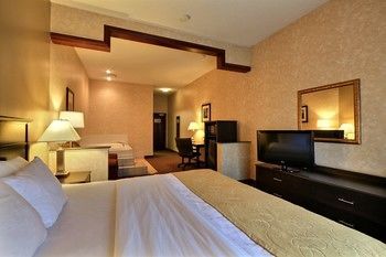 Hotel Comfort Suites Grand Rapids North