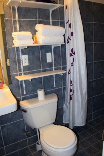 Apartamento Detroit Vacation Rentals