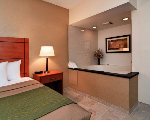 Hotel Comfort Inn Metro Airport Romulus