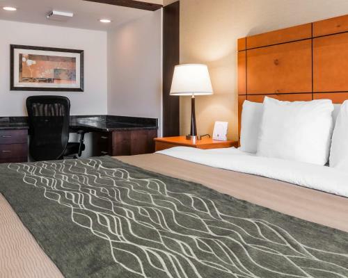 Hotel Comfort Inn Metro Airport Romulus