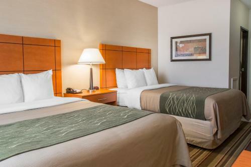 Hotel Comfort Inn Metro Airport Romulus