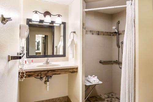 Hotel Econo Lodge Rochester