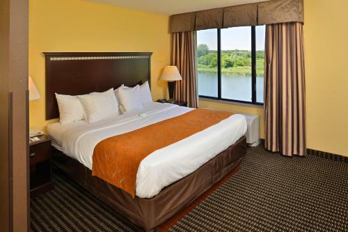 Hotel Comfort Suites Rochester