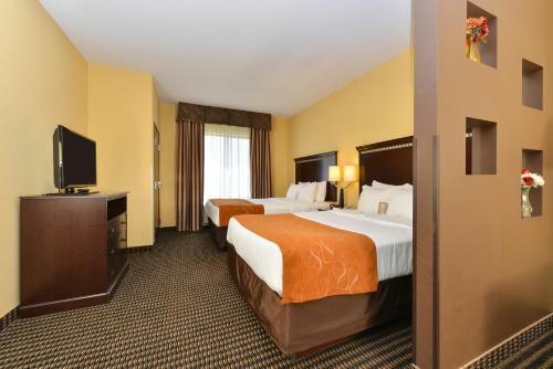 Hotel Comfort Suites Rochester