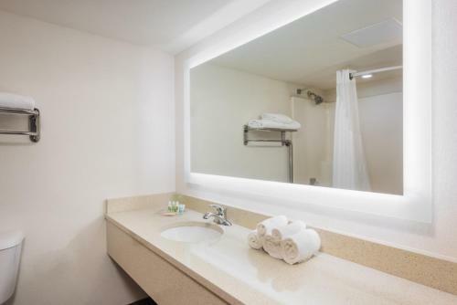 Hotel Holiday Inn At Six Flags Saint Louis