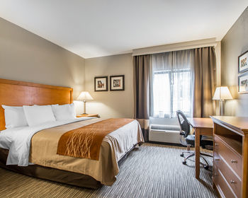 Hotel Comfort Inn Springfield