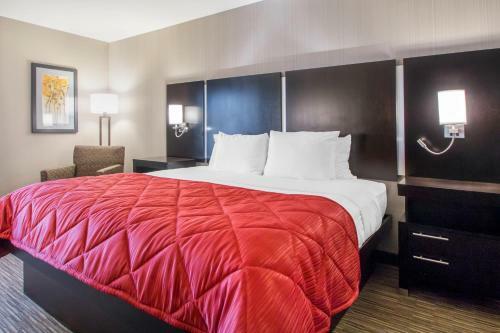 Hotel Clarion Inn & Suites Springfield