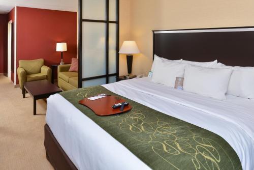 Hotel Comfort Suites Airport Helena