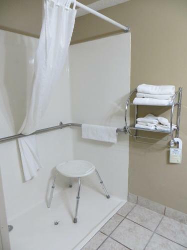 Hotel Microtel Inn & Suites Lincoln