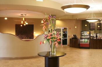 Hotel Holiday Inn Omaha Downtown - Airport