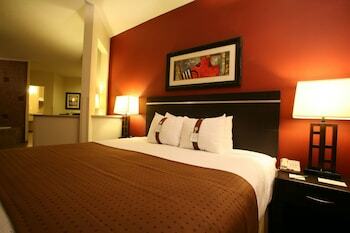 Hotel Holiday Inn Omaha Downtown - Airport