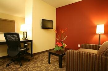 Hotel Holiday Inn Omaha Downtown - Airport