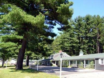 White Trellis Motel