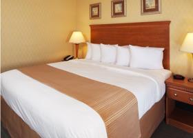 Hotel Quality Inn & Suites Atlantic City North