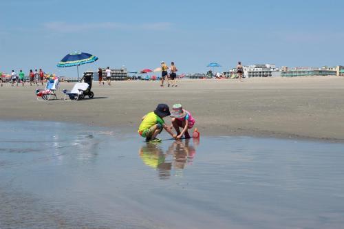 Ala Moana Motel & Suites