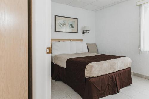 Motel AA Heart Of Wildwood