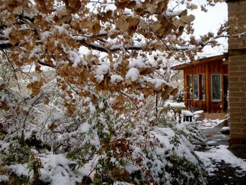 Silver River Adobe Inn Bed And Breakfast