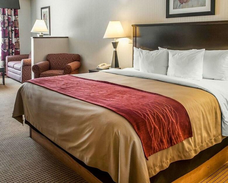 Hotel Comfort Inn Farmington