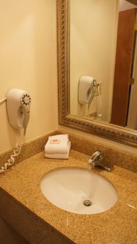 Motel Red Carpet Inn Albany