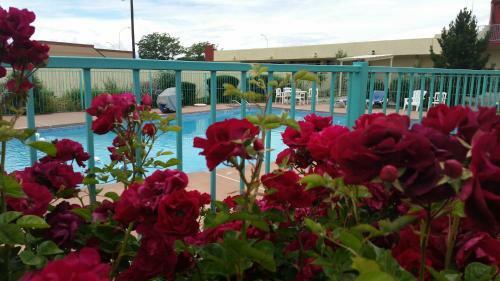 Hotel Days Inn Santa Fe