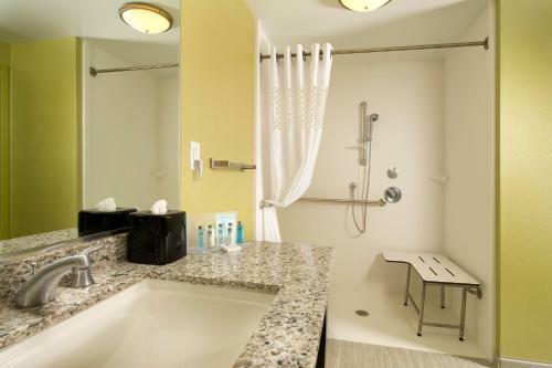 Hotel Hampton Inn & Suites - Buffalo Airport