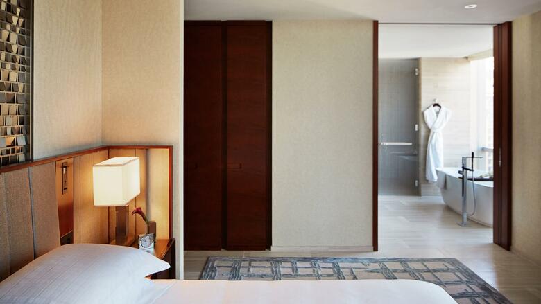 Hotel Park Hyatt New York