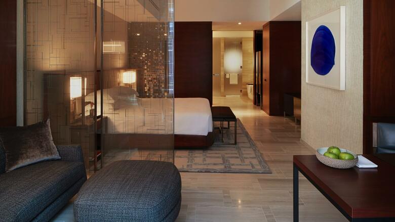 Hotel Park Hyatt New York