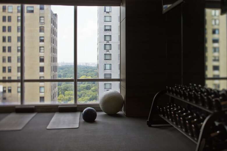 Hotel Park Hyatt New York