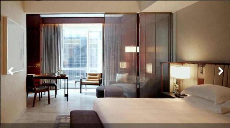 Hotel Park Hyatt New York