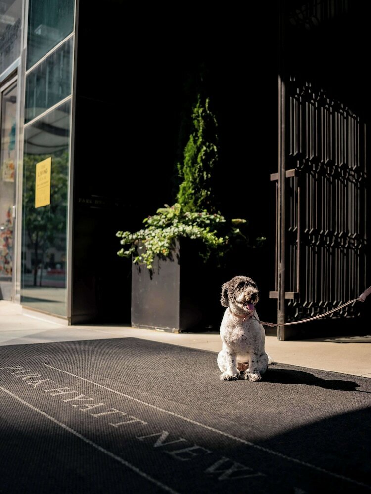 Hotel Park Hyatt New York