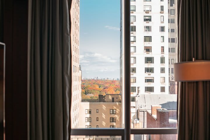 Hotel Park Hyatt New York