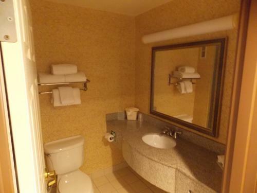 Hotel Holiday Inn Express Syracuse-fairgrounds