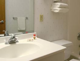 Hotel Super 8 Webster/rochester