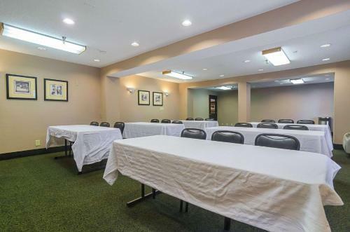 Hotel Quality Inn & Suites Medical Park