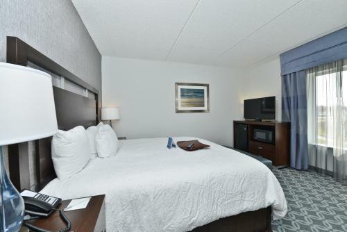 Hotel Hampton Inn & Suites Greensboro/four Seasons