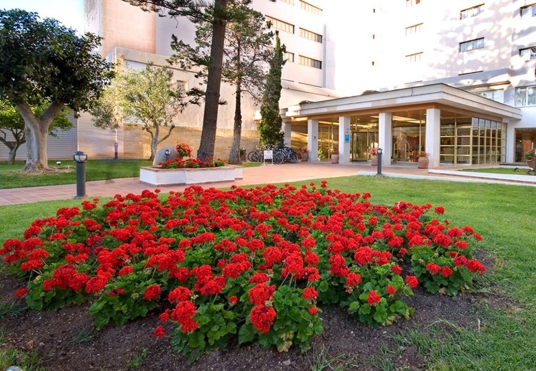 Hotel Playa Del Moro