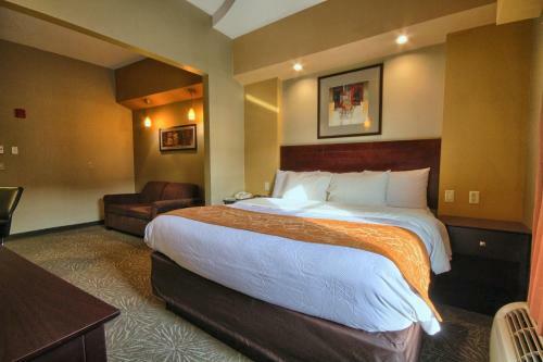 Hotel Comfort Suites Perrysburg