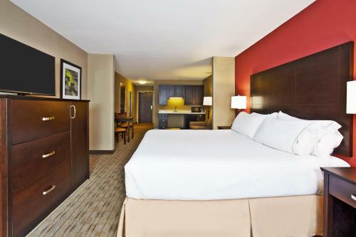 Hotel Holiday Inn Express & Suites Springfield
