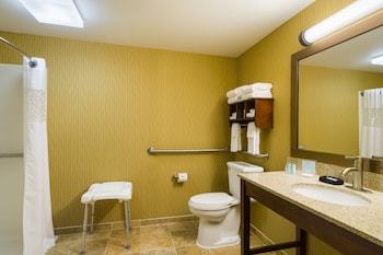 Hotel Hampton Inn Danville